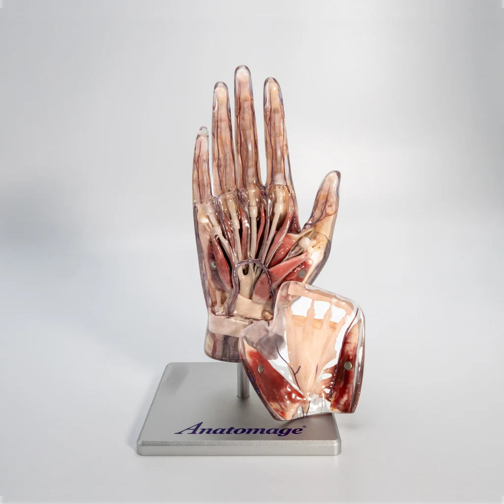 Introductory 5-Piece Set
